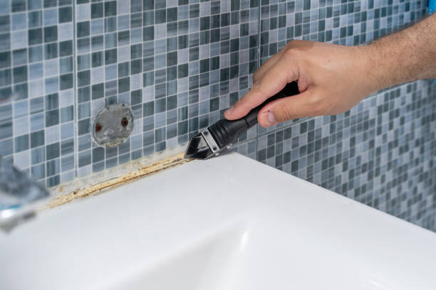 Best Same-Day Mold Removal  in Williamston, SC