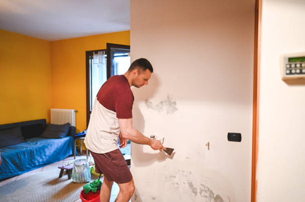 Best Crawl Space Mold Removal  in Williamston, SC